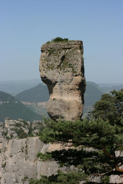 LE VASE